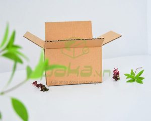 Hộp carton 3 lớp 18x13x8cm