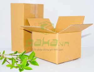 Hộp carton 3 lớp 25x17x8cm