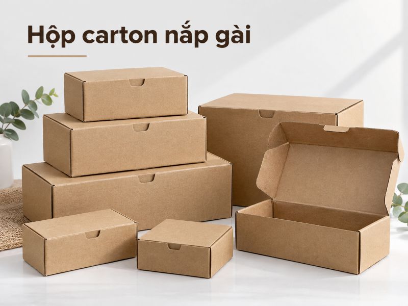 Hộp carton nắp gài