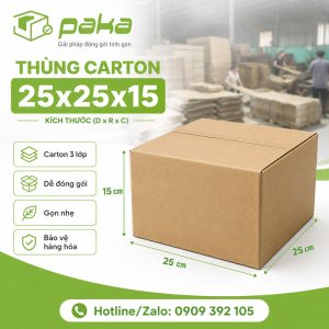 Thùng carton 25x25x15