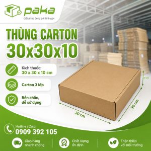 Thùng carton 30x30x10